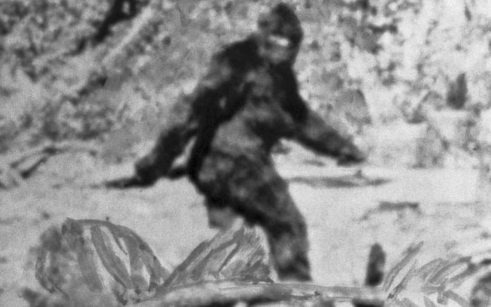 DNA tests reveal the Yeti's not-so-abominable identity (research)