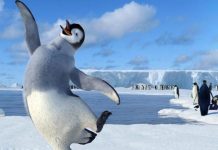 Giant ancient penguin was human-size, says new research Giant ancient penguin was human-size, says new research