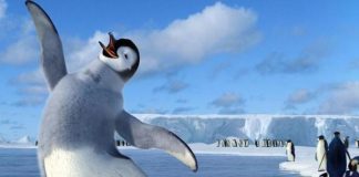 Giant ancient penguin was human-size, says new research Giant ancient penguin was human-size, says new research