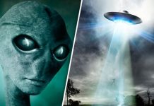 Half of humans believe in extraterrestrial life, says new research Half of humans believe in extraterrestrial life, says new research