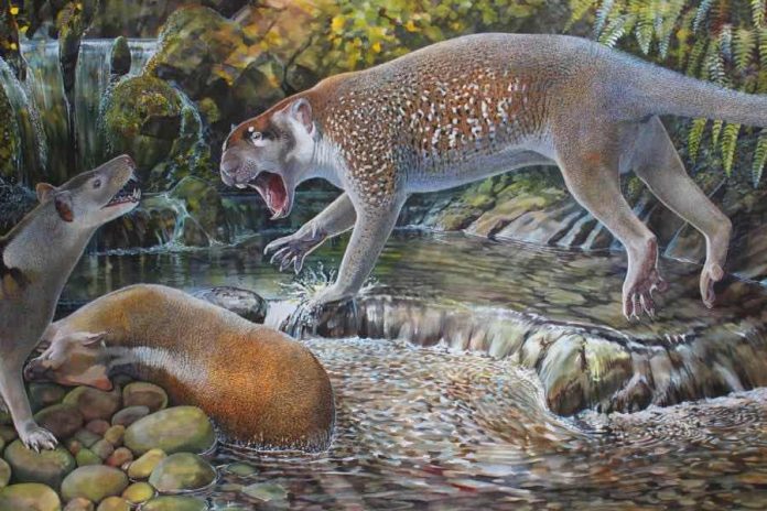 New species of extinct lion discovered in Australia, finds research