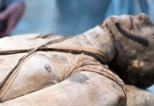 DNA Analysis Reveals Mummies’ Familial Relationship DNA Analysis Reveals Mummies' Familial Relationship