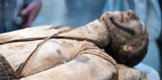 DNA Analysis Reveals Mummies’ Familial Relationship DNA Analysis Reveals Mummies' Familial Relationship