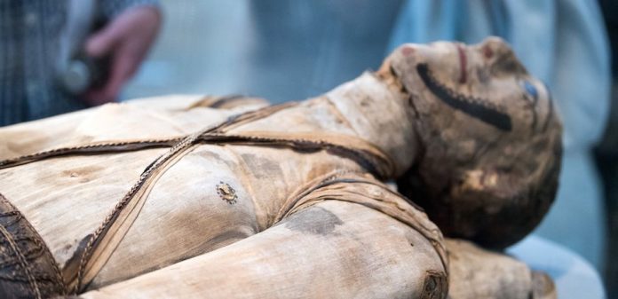 DNA Analysis Reveals Mummies' Familial Relationship