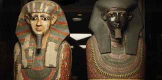 New DNA study shows 4,000 year-old mummies are half brothers DNA study shows 4,000 year-old mummies are half brothers