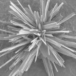 New catalyst for recycling carbon dioxide discovered New catalyst for recycling carbon dioxide discovered