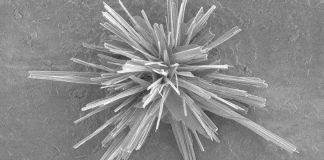 New catalyst for recycling carbon dioxide discovered New catalyst for recycling carbon dioxide discovered