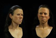 Scientists Reconstruct Face of 9,000-year-old Greek Teen (Picture) Researchers Reconstruct Face of 9,000-year-old Greek Teen