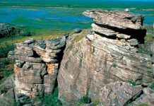 Researchers discover a piece of America in northern Australia Scientists discover a piece of America in northern Australia