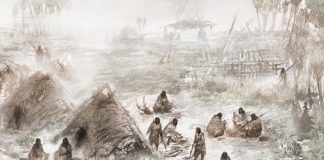 Study: Massive Native American discovery shocks researchers Study: Massive Native American discovery shocks researchers