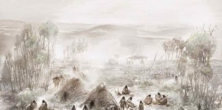 Study reveals evidence of new population of ancient Native Americans Study reveals evidence of new population of ancient Native Americans