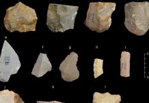 Ancient tools in India suggest earlier human exit from Africa Ancient tools in India suggest earlier human exit from Africa