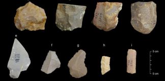 Ancient tools in India suggest earlier human exit from Africa Ancient tools in India suggest earlier human exit from Africa