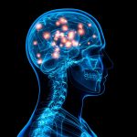 Brain Implant Boosts Memory, Says New Research Brain Implant Boosts Memory, Says New Study