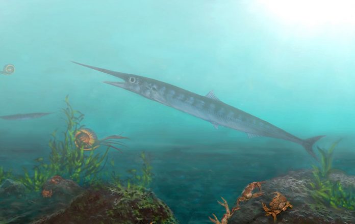 Child aids paleontologists in discovery of new ancient fish
