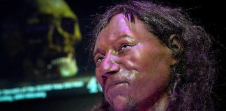 First modern Brits had ‘dark to black’ skin, finds new study First modern Brits had 'dark to black' skin, finds new research