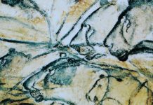 Study: Neanderthals’ lack of drawing ability may relate to hunting techniques Research: Neanderthals' lack of drawing ability may relate to hunting techniques