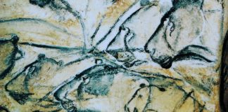 Study: Neanderthals’ lack of drawing ability may relate to hunting techniques Research: Neanderthals' lack of drawing ability may relate to hunting techniques