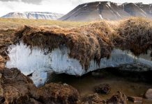 Researchers Find Massive Reserves of Mercury Hidden in Permafrost Researchers Find Massive Reserves of Mercury Hidden in Permafrost