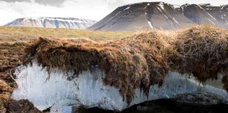 Researchers Find Massive Reserves of Mercury Hidden in Permafrost Researchers Find Massive Reserves of Mercury Hidden in Permafrost