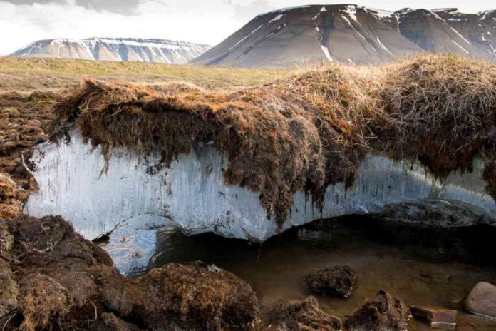 Researchers Find Massive Reserves of Mercury Hidden in Permafrost