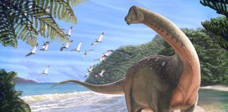 Researchers discover ‘the Holy Grail of dinosaurs’ in Africa Researchers discover 'the Holy Grail of dinosaurs' in Africa