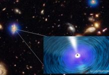 Scientists Find Ultramassive Black Holes in Distant Cluster Galaxies Scientists Find Ultramassive Black Holes in Distant Cluster Galaxies