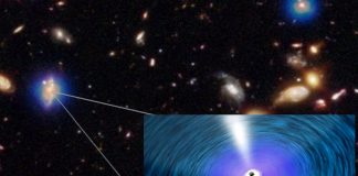 Scientists Find Ultramassive Black Holes in Distant Cluster Galaxies Scientists Find Ultramassive Black Holes in Distant Cluster Galaxies