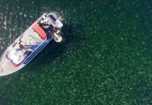 Scientists use drones to track jellyfish blooms (Video) Scientists use drones to track jellyfish blooms (Video)