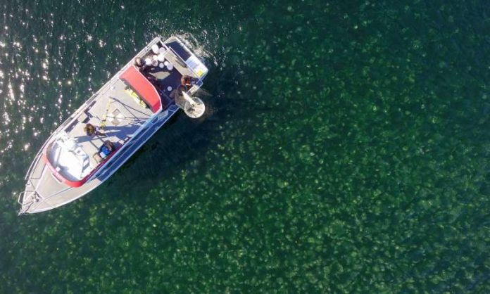 Scientists use drones to track jellyfish blooms (Video)