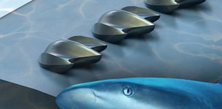 Sharks can inspire plane redesign, says new research Sharks can inspire plane redesign, says new research