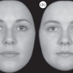 Study: Different genes that shape our face identified Study: Different genes that shape our face identified