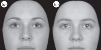 Study: Different genes that shape our face identified Study: Different genes that shape our face identified