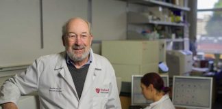 ‘Vaccine’ Developed That Could Eliminate All Traces of Cancer (Research) 'Vaccine' Developed That Could Eliminate All Traces of Cancer (Research)