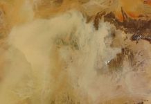 Viruses raining down from Earth’s atmosphere, says new study Viruses raining down from Earth's atmosphere, says new research