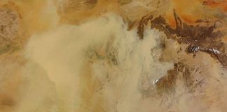 Viruses raining down from Earth’s atmosphere, says new study Viruses raining down from Earth's atmosphere, says new research