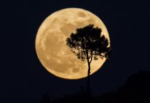 When is the next supermoon 2018? When is the next supermoon 2018?