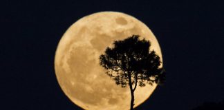 When is the next supermoon 2018? When is the next supermoon 2018?