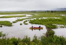 Research: Ancient carbon is coming from Arctic soil might be terrible Research: Ancient carbon is coming from Arctic soil might be terrible