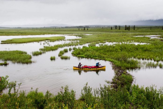 Research: Ancient carbon is coming from Arctic soil might be terrible