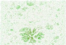 Research: Giant Family Tree of 13 Million People Just Created Research: Giant Family Tree of 13 Million People Just Created