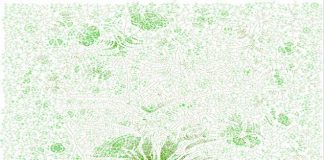 Research: Giant Family Tree of 13 Million People Just Created Research: Giant Family Tree of 13 Million People Just Created