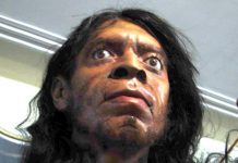 Researchers stunned by massive discovery about humans Researchers stunned by massive discovery about humans