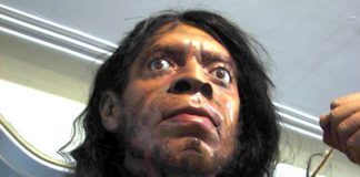 Researchers stunned by massive discovery about humans Researchers stunned by massive discovery about humans