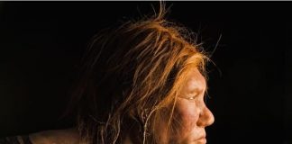 Study: Humans Mated Outside Our Species Three Times Study: Humans Mated Outside Our Species Three Times