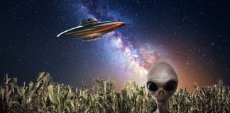 We asked an astronaut if aliens exist — and his answer was spot on We asked an astronaut if aliens exist — and his answer was spot on