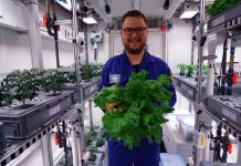 Researchers harvest Antarctic greenhouse vegetables Researchers harvest Antarctic greenhouse vegetables