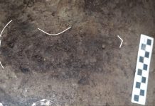 Scientists Discover 29 Human Footprints From the Last Ice Age Scientists Discover 29 Human Footprints From the Last Ice Age