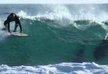 Shark attack halts Australia surf competition (Video) Shark attack halts Australia surf competition (Video)