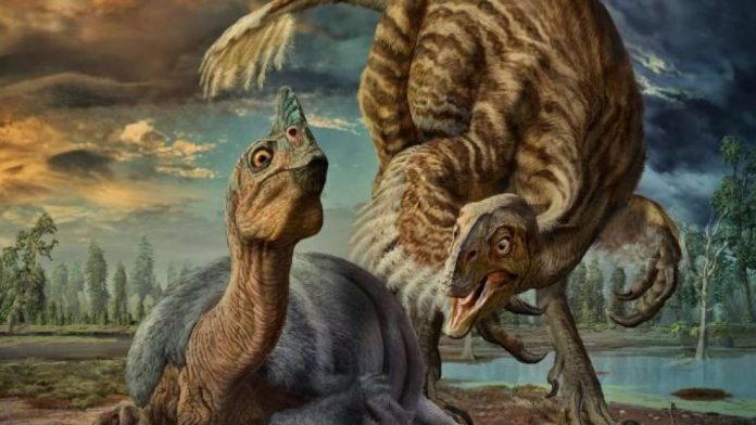 3,000 Pound Dinosaurs May Have Incubated Eggs Like Modern Birds, says new research
